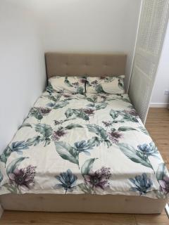 Decebal luxury studio next to Lolipop cafe - 6