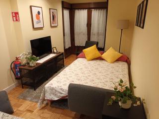 Apartamento Playa de Gijon - 7