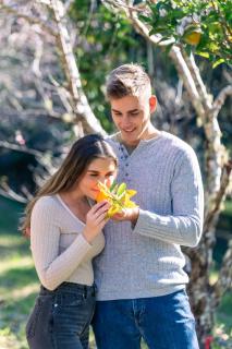 Kanimbia Cottages - 1