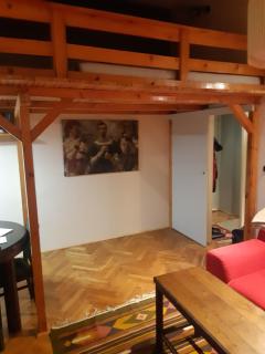 Wolność Centrum Apartament 2 poziomowy - 9