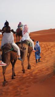 Sahara tarula camp - 4