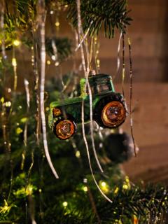 Miss Francis Horse Wagon - 9