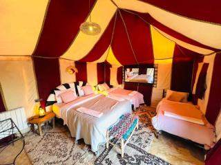 Amrad luxury camp - 3