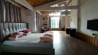 Dzükou Guest House - 2