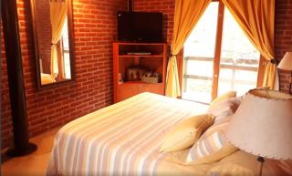 La Protegida del Bosque - Mar de las Pampas - 8