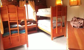 La Protegida del Bosque - Mar de las Pampas - 6