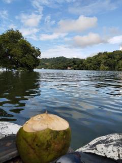 casa colibri cañón de rio dulce - Lívingston - 6
