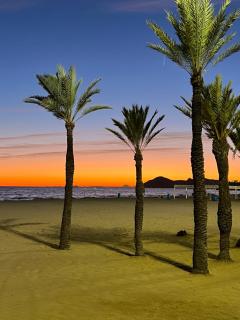 BENI'LOVE en PLAYA VUE MER PANORAMIQUE - 8
