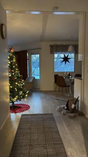 Arctic Wood & Sauna Retreat - 1