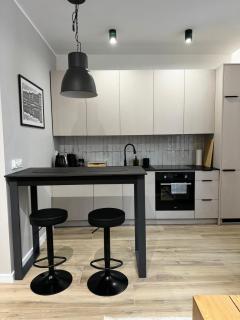 SILESIAN LOFT Apartment - 4