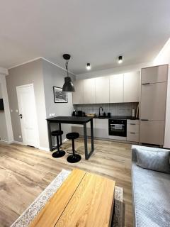 SILESIAN LOFT Apartment - 5