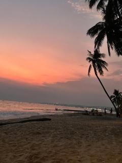 Song Anh Mui Ne Guesthouse - 2