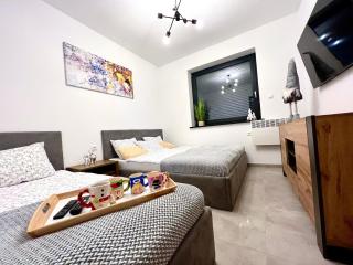 Domki Całoroczne PREMIUM Zator ENERGYLANDIA - 8