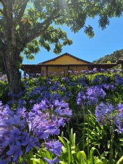 chales 03 canário fogo - 9