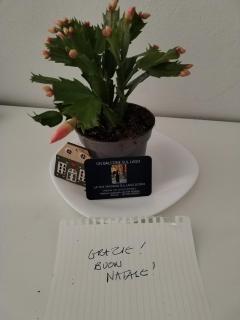 un balcone sul lago - 3