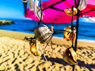 William's apartments - second cozy studio - 0