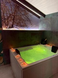 El Helecho de Gredos - 1