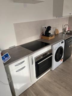 Beautiful Strasbourg apartment, 2 high standing rooms - 2