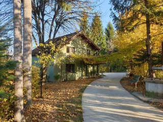 Two lakes heaven - Forest Retreat by The Mountains - 9