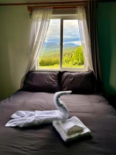 Carretera Austral, casa acogedora - 9