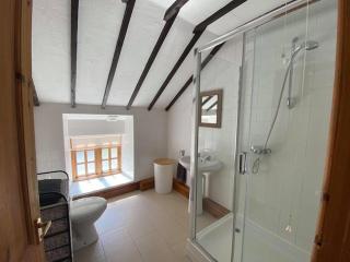 Bryn Hyfryd Cottages - 6