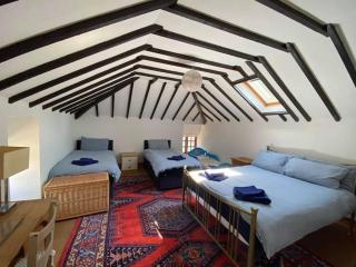 Bryn Hyfryd Cottages - 5