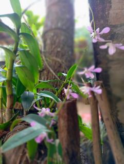 Allan Guest Mirissa - 3