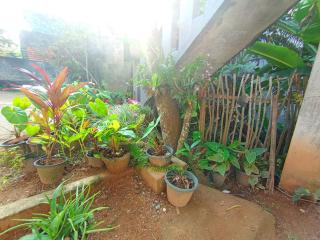 Allan Guest Mirissa - 2