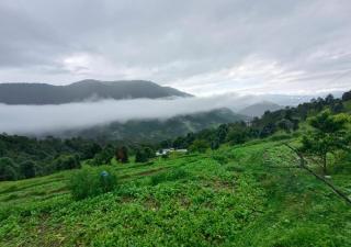 Panchavati Hills Homestay - 1