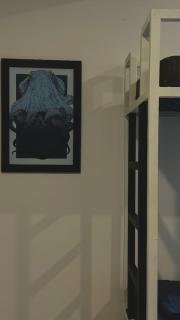 Parrot Porch Hostels - 9