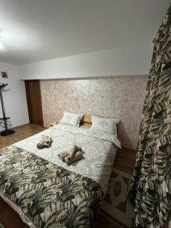 Apartament Comfort - 0