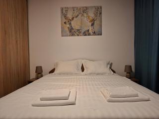 Parliament View 2BR Heart of Bucharest Free minibar - 8