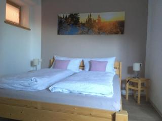 Ferienwohnung mit Aussicht im Bergdorf Steibis im Allgäu - 7