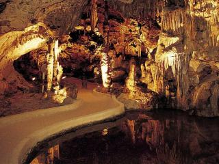 Sea Life Souvenirs & Tours - 2