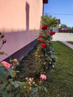 Sobe "Mira",Lipovac -Bajakovo - 1