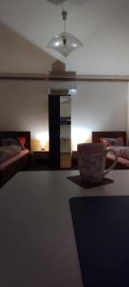 Sobe "Mira",Lipovac -Bajakovo - 9