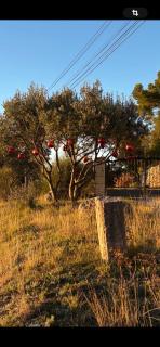 villa Peylon 2 - Flayosc - 8