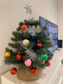 Michelangiolo Appartment - Florence - 1