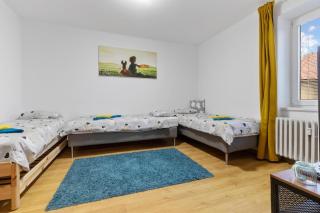 City center 2 Bedroom AC Apartment - 7