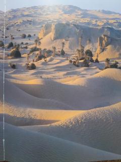 Chants des dunes - 8