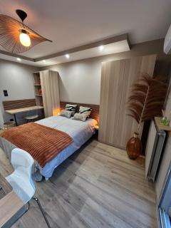 Studio orcadia piscine climatisation parking wifi - 9