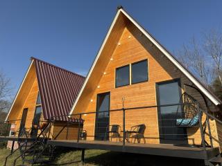 Aroma of the forest - 9