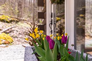 Tweetsie Den - Boone - 7