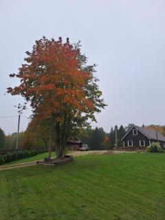 Adamonių sodyba - 4