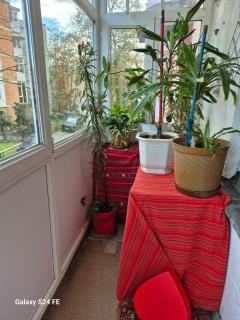 Apartament Brazda lui Novac - 1