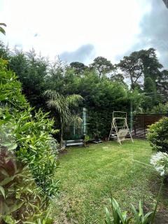 Casa entre pinos - 7