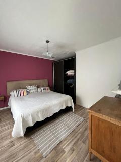 Casa entre pinos - 1