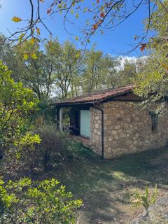 El Roble, casitas rurales - 3