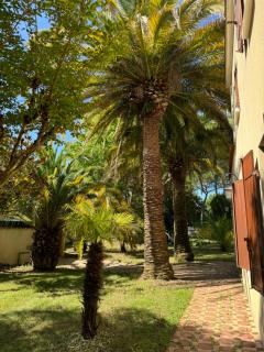 Villa avec piscine intérieur chauffée et parc privé au bord de mer à 3 minutes - 7