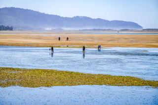 Netarts Bungalow - 9